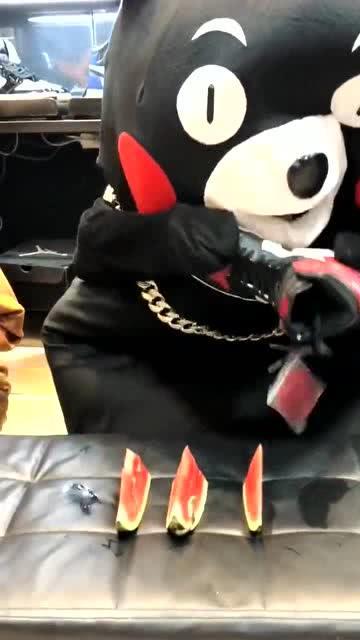 网红熊公仔吃瓜视频下载,萌态可掬引网友热议