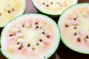 青岛吃瓜网红事件真相揭秘